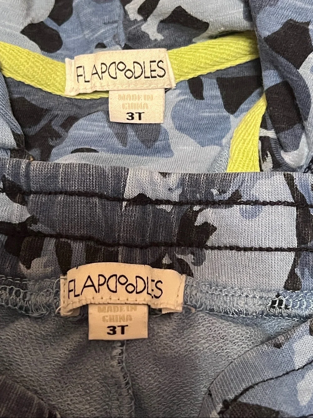 Flapdoodles Hoodie and Sweatpants Set